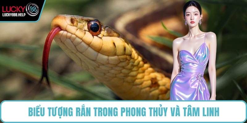 Biểu tượng rắn trong phong thủy và tâm linh