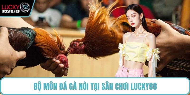 Bộ môn đá gà nòi tại sân chơi LUCKY88
