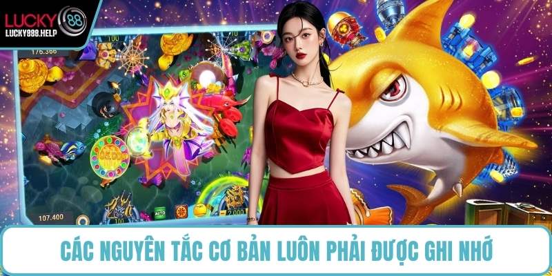 Các nguyên tắc cơ bản luôn phải được ghi nhớ