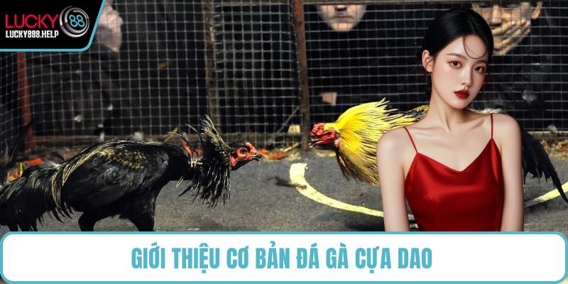 Giới thiệu cơ bản đá gà cựa dao