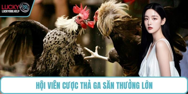 Hội viên cược thả ga săn thưởng lớn