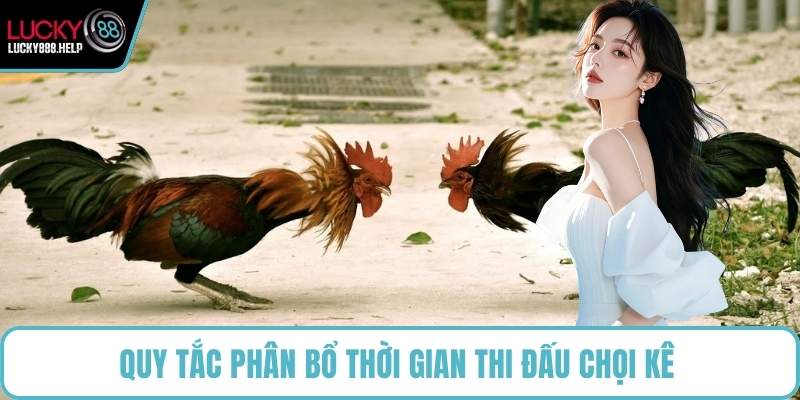 Quy tắc phân bổ thời gian thi đấu chọi kê