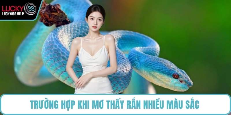 Trường hợp khi mơ thấy rắn nhiều màu sắc 